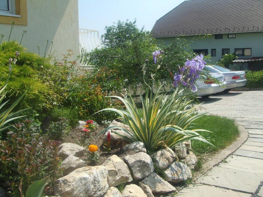 Flora Villa Хевіз Екстер'єр фото